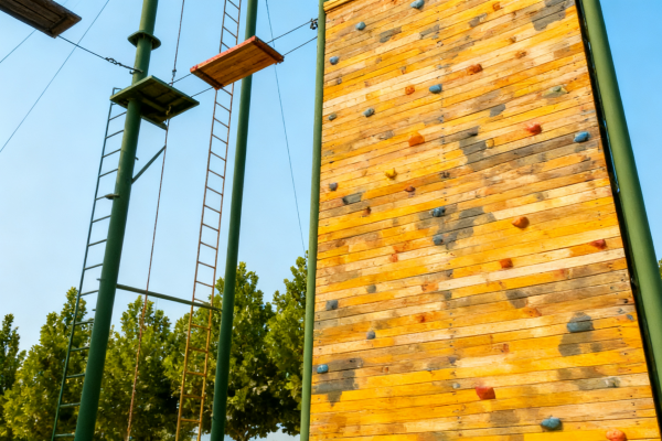 1769757844855081.png 心理3(1).png